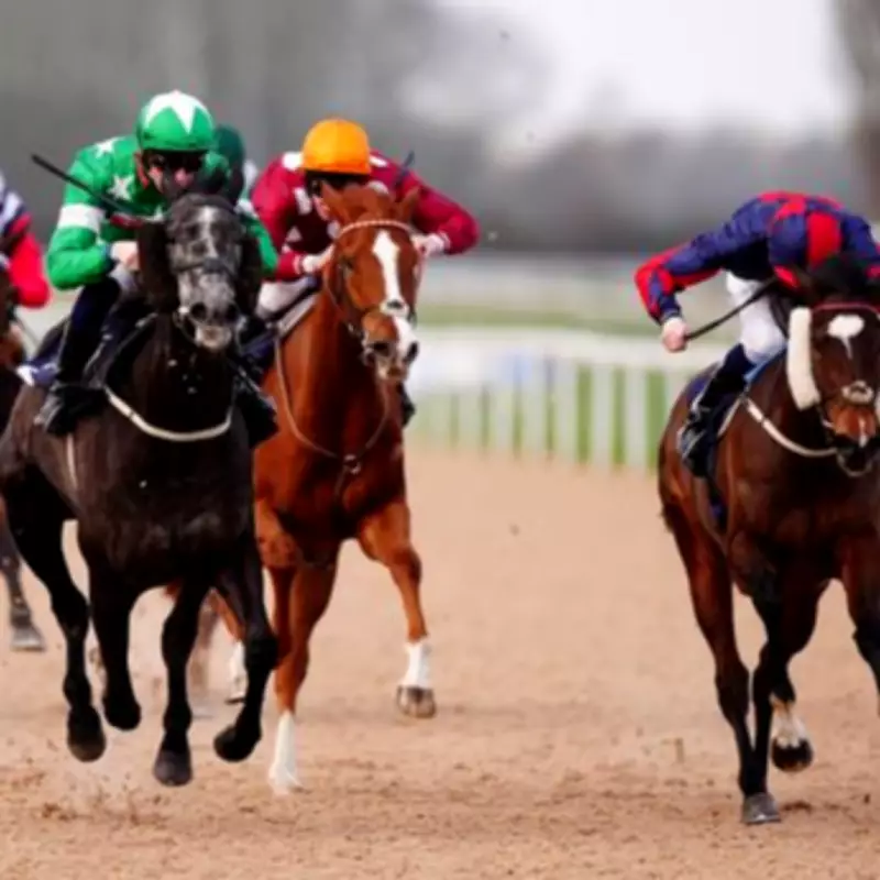 Newsboy's Thursday Racing Tips: Roaring Ralph Tipped for Southwell Nap