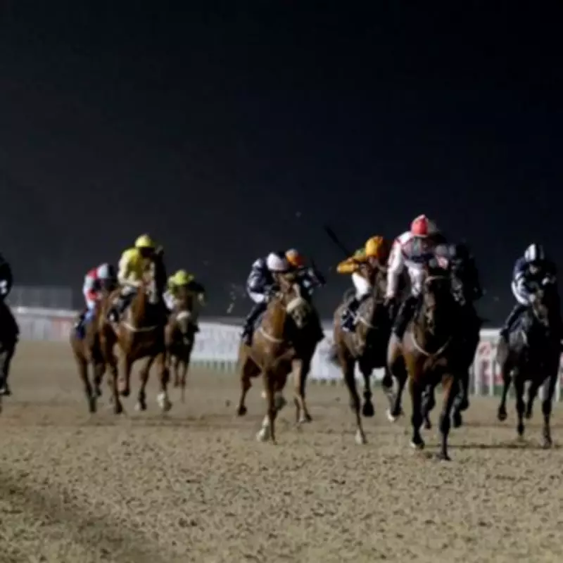 Newsboy's Tuesday Racing Tips: Francesi Aims for Fifth Win at Newcastle