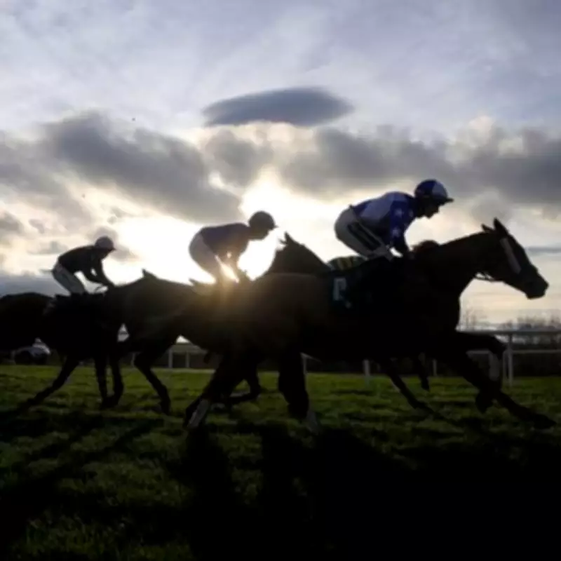 Newsboy's Tuesday Racing Tips: Nap Paddy O'Mahler Aims for Hat-Trick at Catterick