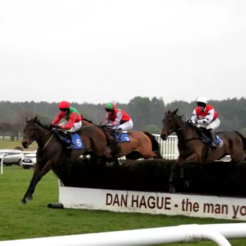 Newsboy's Tuesday Racing Tips: Snowrocco Tipped for Market Rasen Hat-Trick