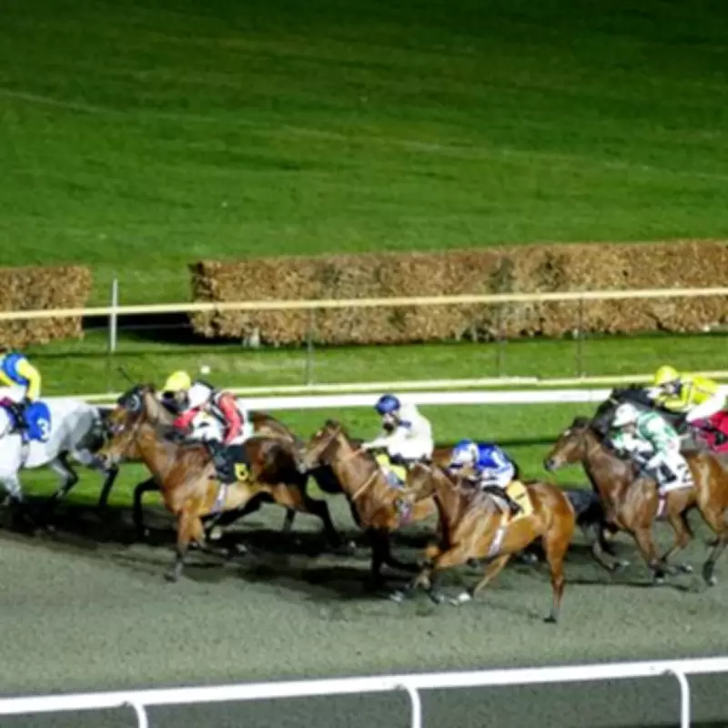 Newsboy's Wednesday Racing Tips: Atmosphere and Silver State Lead Kempton Card