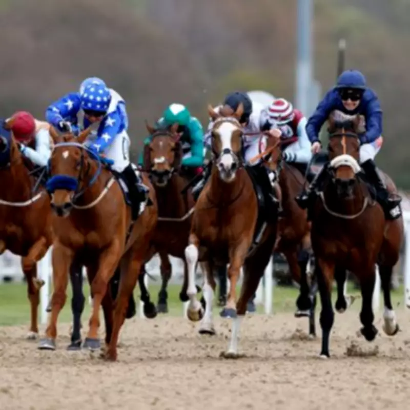 Newsboy's Wednesday Racing Tips: Teardrops Nap at Newcastle, Court of Session NB at Kempton