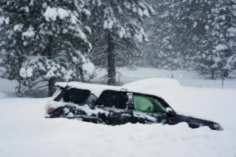 Nine Skiers Missing in Lake Tahoe Avalanche as Rescue Teams Battle Extreme Conditions