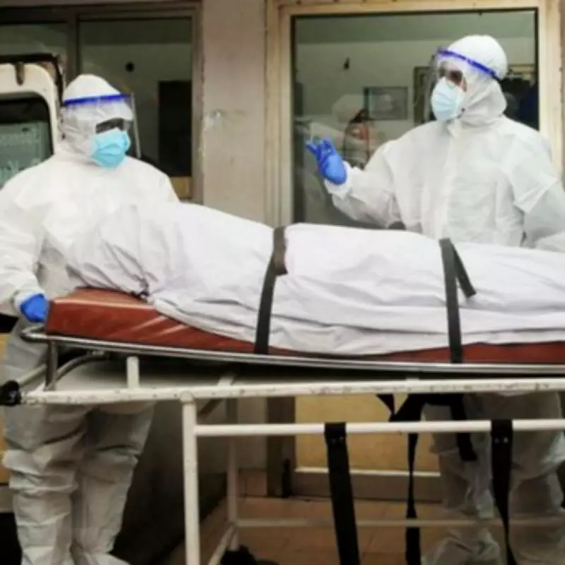 Nipah Virus Claims Life in Bangladesh as Asian Nations Heighten Pandemic Defences