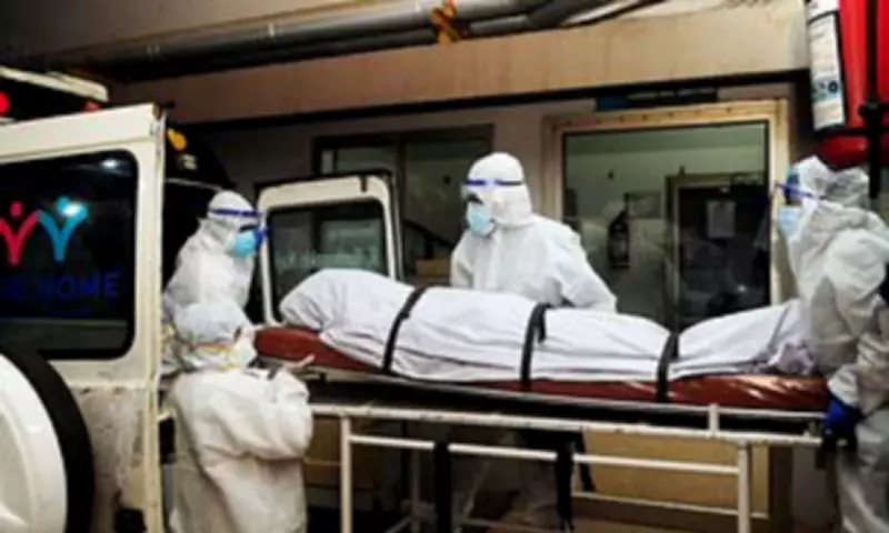 Nipah Virus Claims Life in Bangladesh, Sparking Pandemic Concerns