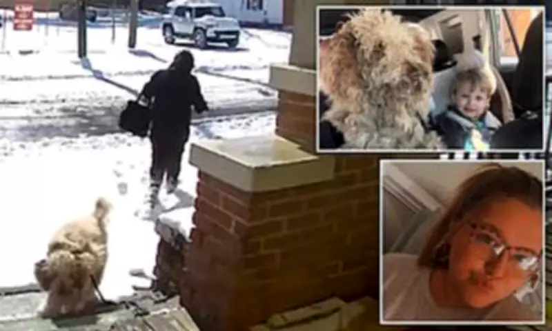 North Carolina Vet Tech Charged After Rescuing Abandoned Dog in Snowstorm