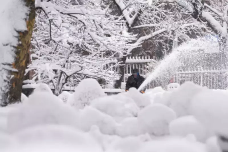 Northeast Blizzard Hits 'Goldilocks' Sweet Spot for Record Snow Totals
