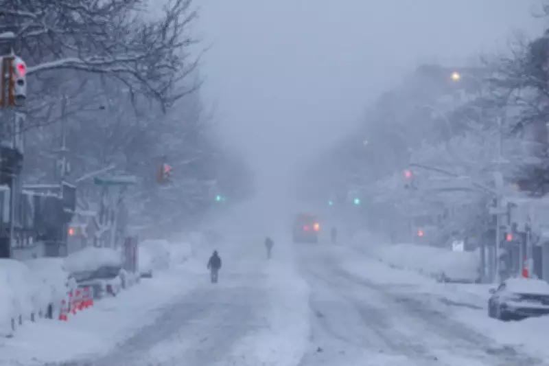 Northeastern US Paralyzed by Blizzard, Schools Shut and Travel Banned
