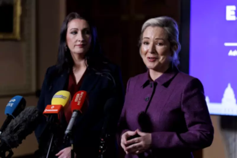 Northern Ireland's Deputy First Minister Rejects Momentum for Irish Unity Poll