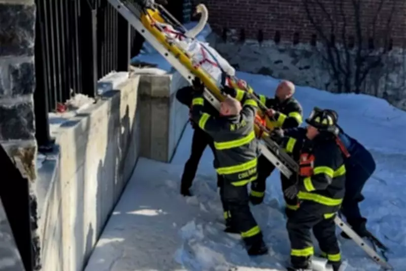 Norwalk Firefighters Brave Icy River to Rescue Trapped Swan