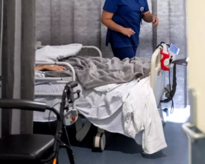 NSW Mental Health System in Crisis as Patients Escape, Leading to Tragedies