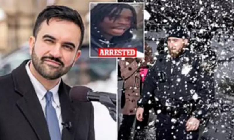 NYC Mayor Faces Backlash After Downplaying Snowball Attack on Police Officers