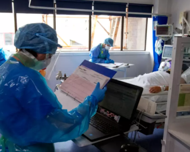 Obesity Increases Severe Infection Risk by 70%, Global Study Reveals