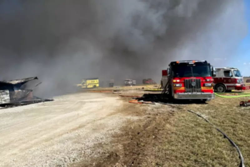 Ohio Farm Fire Kills 6,000 Pigs as High Winds Fuel Blaze