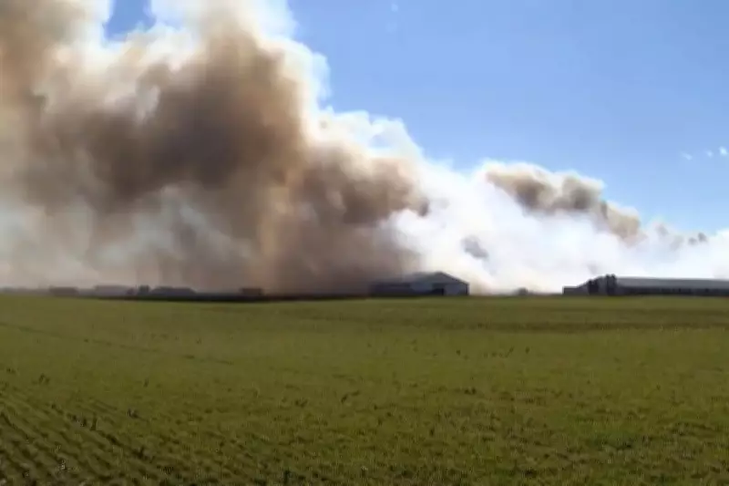 Ohio Hog Farm Inferno Kills 6,000 Animals as Smoke Plume Visible for Miles
