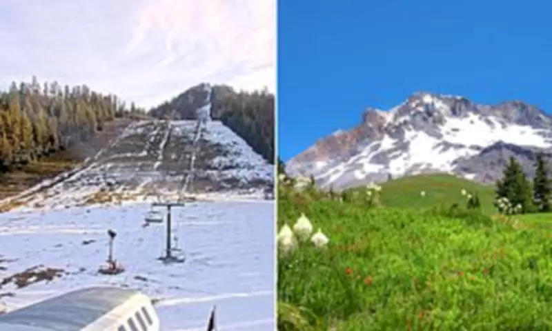 Oregon's Ski Season Faces Crisis as Snow Drought Grips Western States