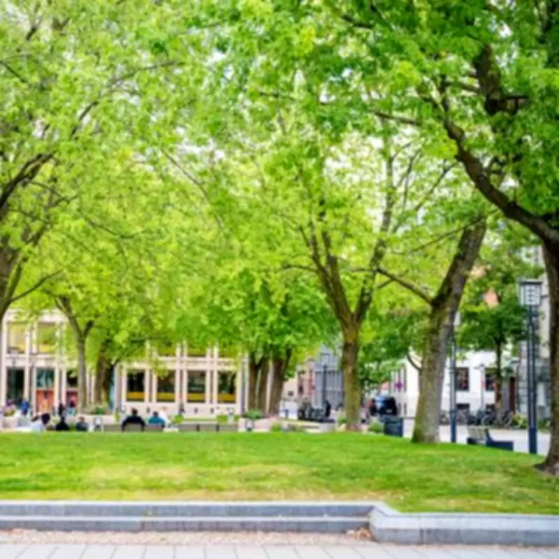 Oslo Crowned World's Greenest City with Bee Highways and Urban Parks