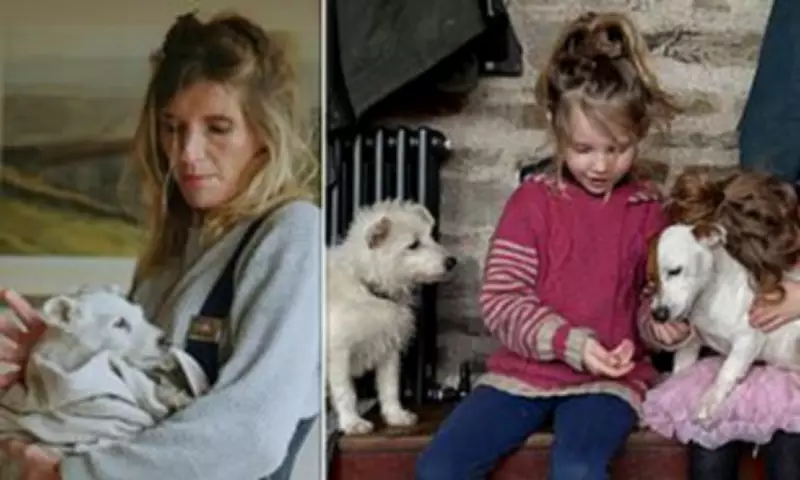 Our Farm Next Door Finale Leaves Viewers in Tears Over Dog's Farewell