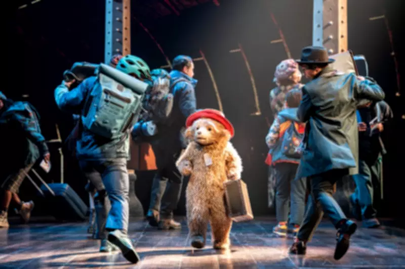 Paddington Bear Puppet Designer Reveals Inspiration Behind West End Musical