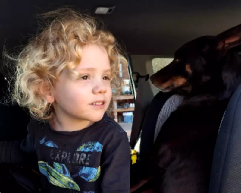 Parents of Missing Boy Gus Lamont Plead for Answers in Major Crime Case