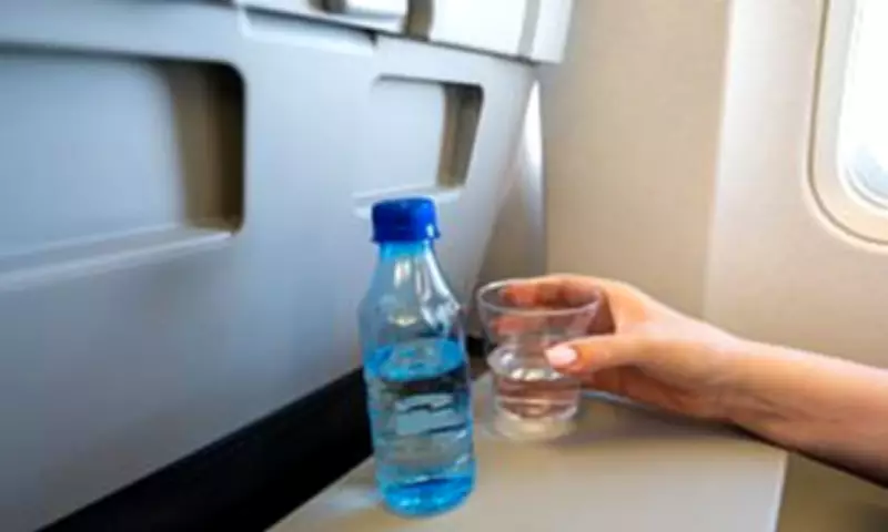 Passenger's Bottle Opening Request Sparks Online Debate Over Flight Attendant Etiquette