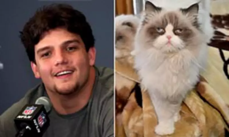 Patriots Rookie's Cat Phobia Revealed: Kicked Feline in Childhood Horror