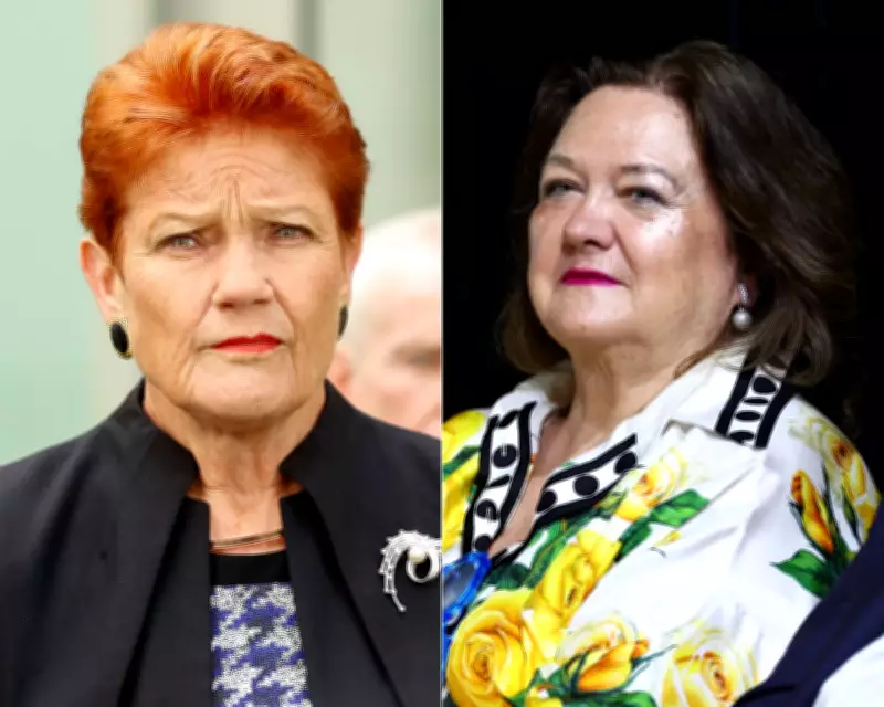 Pauline Hanson's Free Flight with Gina Rinehart Sparks Ethics Debate