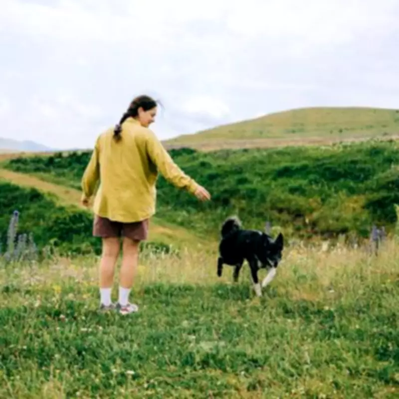 Pet Owners Face Major Law Changes: Unlimited Fines and Prison Time