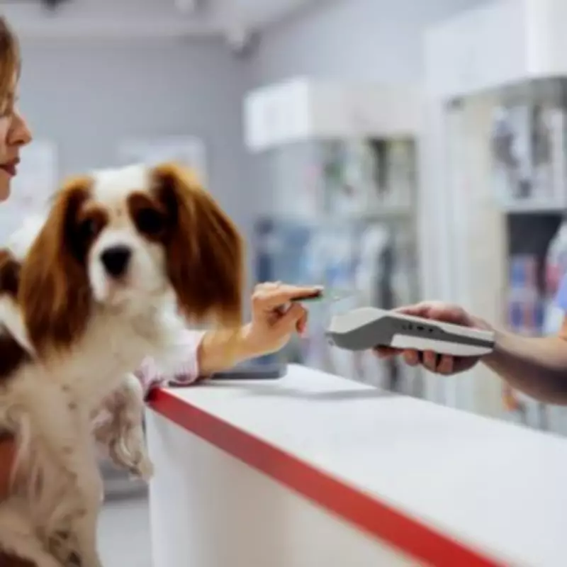 Pet Owners Warned: Paracetamol Poses Severe Risk to Dogs