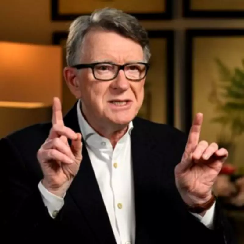 Peter Mandelson Compares Jeffrey Epstein to 'Dog Muck' in Explosive Interview