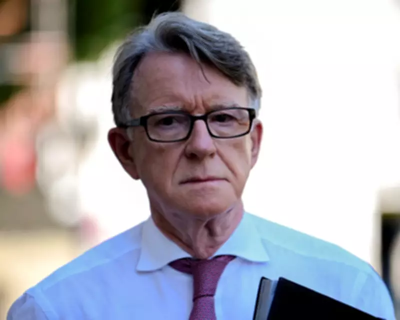 Peter Mandelson Resigns from Labour Over Epstein Financial and Influence Links