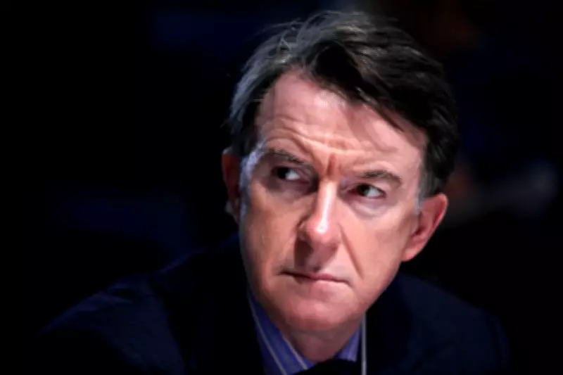 Peter Mandelson's Arrest in Epstein Case Sparks Political Psychology Debate
