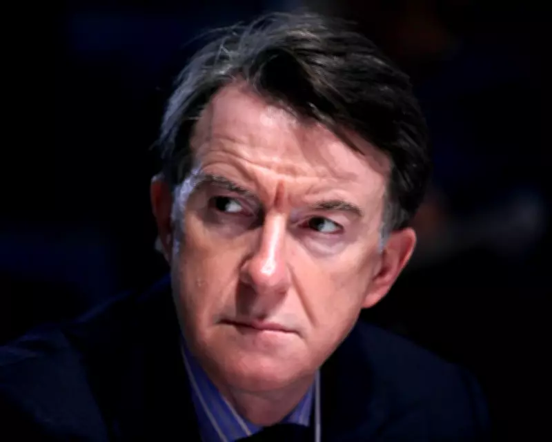 Peter Mandelson's Political Career Ends After Epstein Scandal Revelations