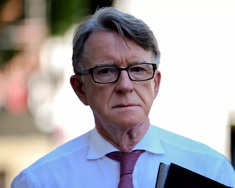 Peter Mandelson's Political Isolation Deepens as Epstein Links Unravel