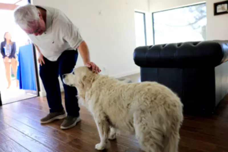 Pets Boost Health for Older Adults but Strain Finances, National Poll Reveals