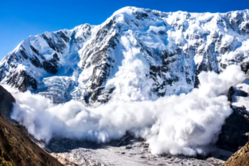 Physicist's Avalanche Survival Guide: Science Behind Snow Slides and Safety