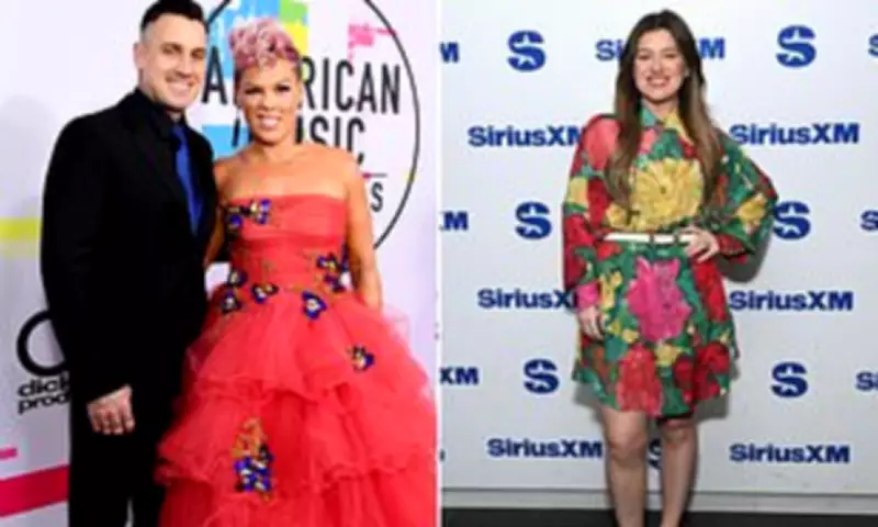 Pink Rumoured to Replace Kelly Clarkson as Host of NBC Talk Show