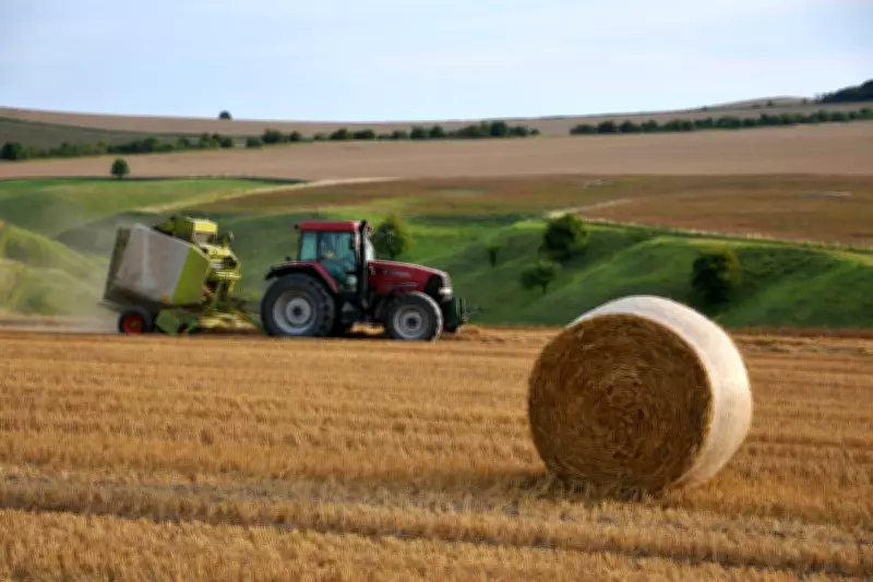 Post-Brexit EU Farm Exports Plummet 37%, NFU Warns of Irreversible Damage