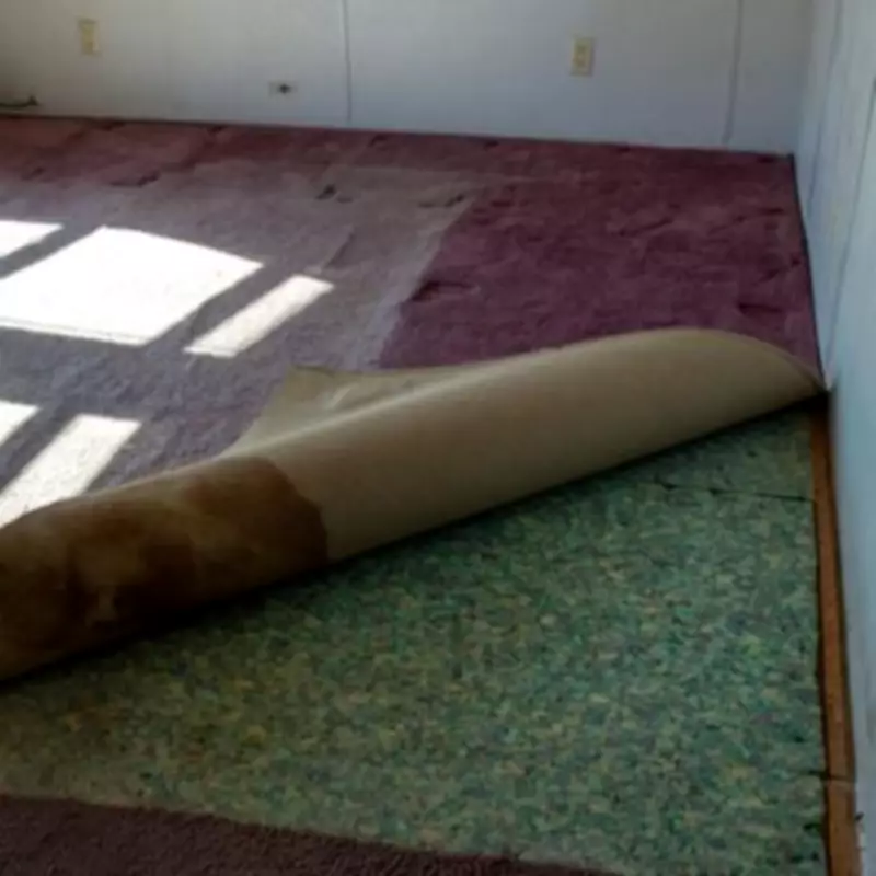 Pregnant Woman Discovers Perfect Hardwood Under Old Carpet in Viral Renovation