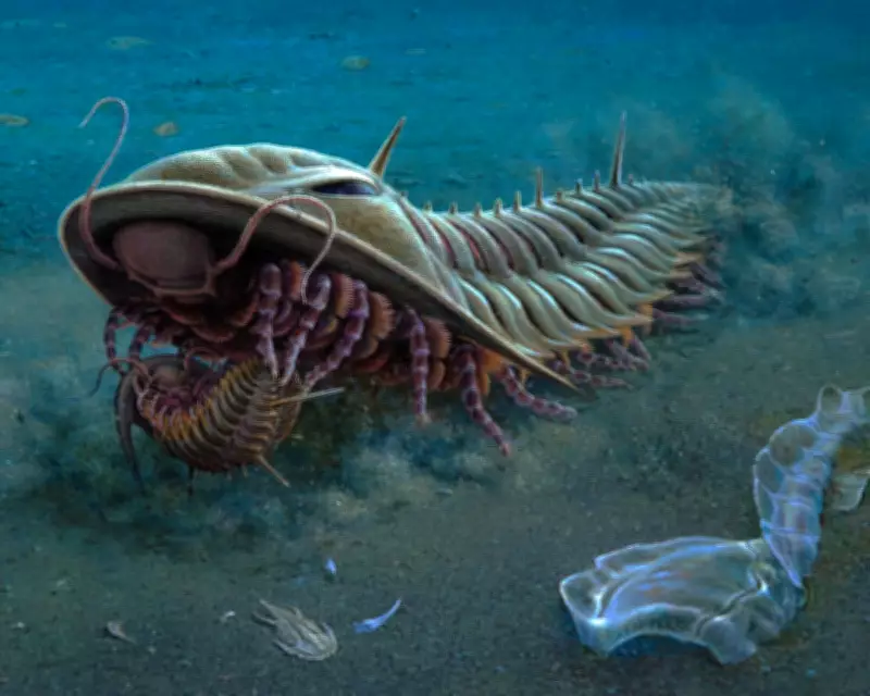 Prehistoric Kangaroo Island Fossils Inspire New Australian Stamp Series