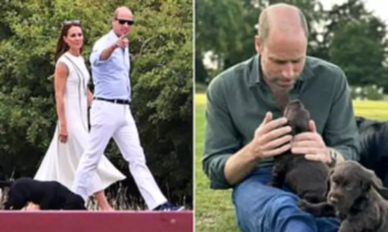 Princess Kate Reveals New Cocker Spaniel Puppy During Welsh Textiles Tour