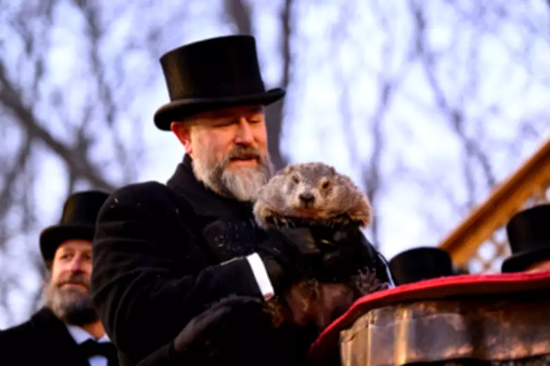Punxsutawney Phil Predicts Extended Winter in 2026 Groundhog Day Forecast