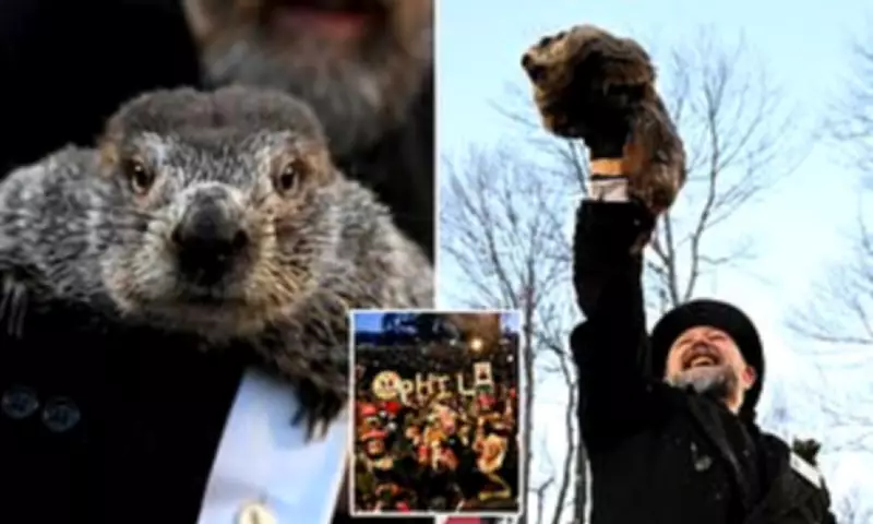 Punxsutawney Phil Predicts Six More Weeks of Winter at 139th Groundhog Day