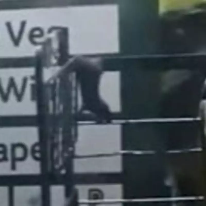 Rats Filmed Swinging from Morrisons Trolley in Glasgow Spark Hygiene Investigation