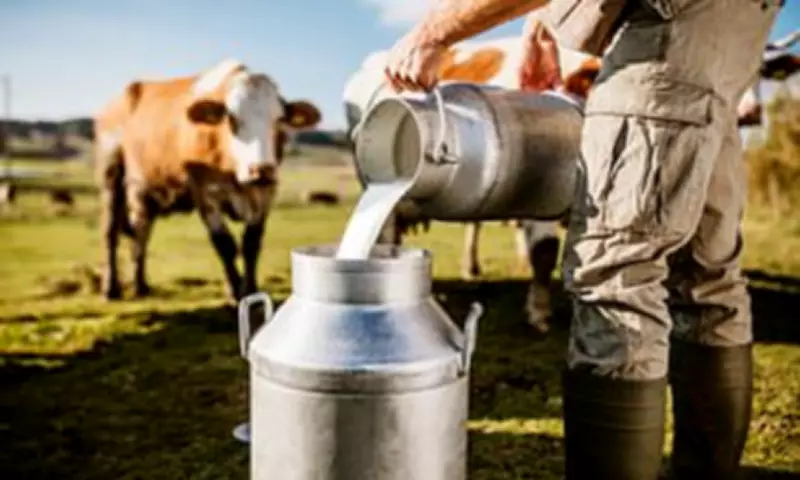 Raw Milk Trend Sparks Health Warnings After Newborn Death in US