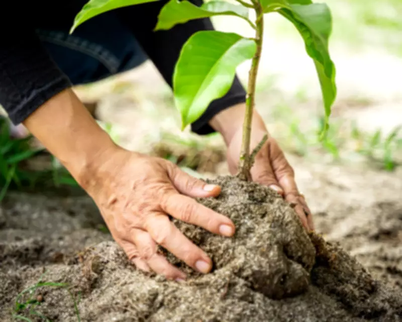 Readers Propose Diverse Ways to Spend a Billion Dollars for Social Good