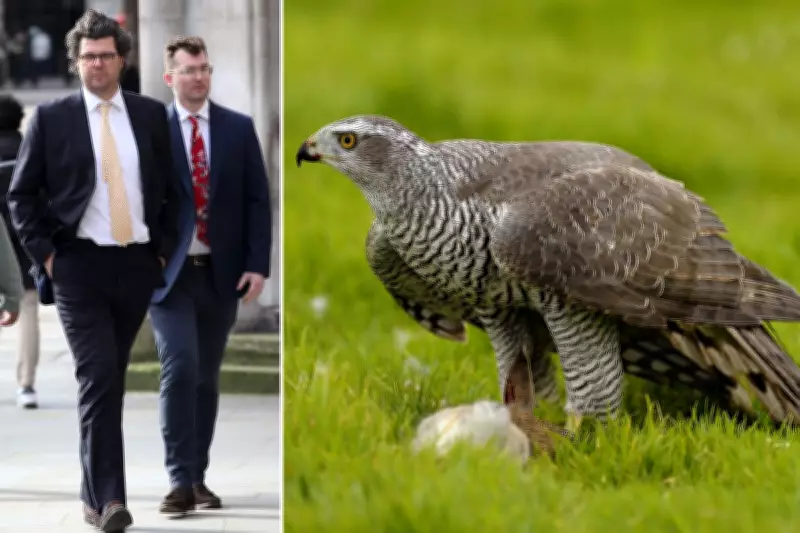 Reality TV Star Appeals £500k Falcon Death Ruling in Neighbour Dispute