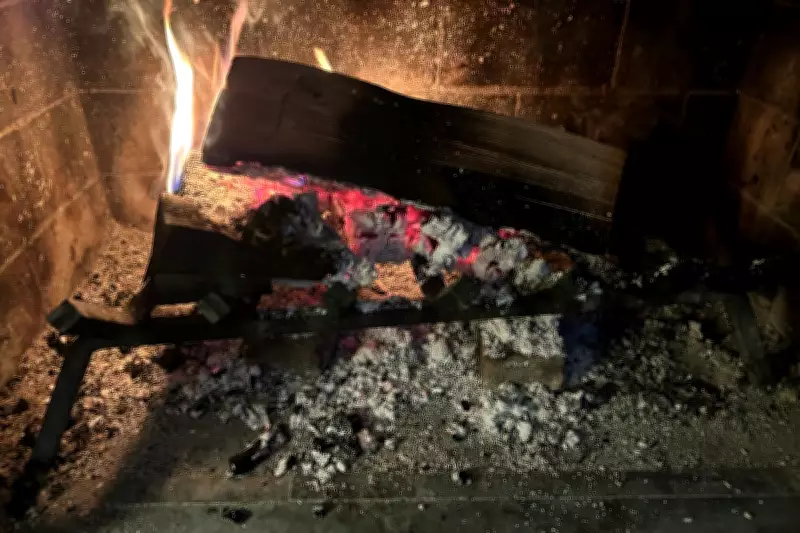 Record Cold Sparks Debate: Can Fireplace Ashes Benefit Your Garden?