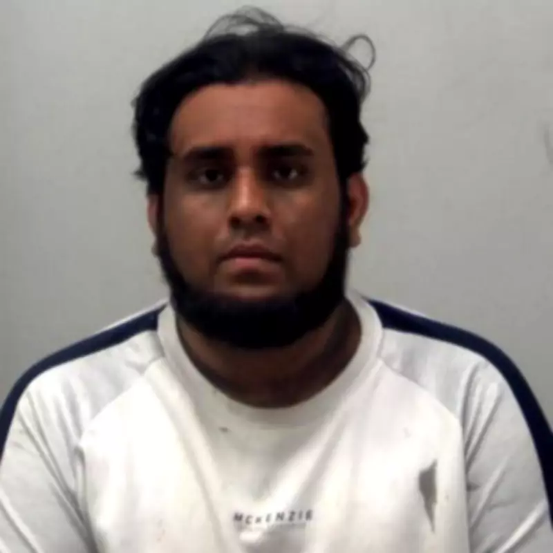 Rehoming Centre Horror: Dogs Roamed Among Carcasses, 41 Pets Found Dead