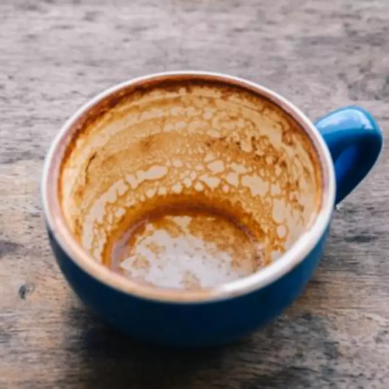 Remove Tea Stains from Mugs in 10 Minutes with a 3p Denture Tablet Hack